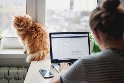 seo service translator skrivanek seo service translator skrivanek