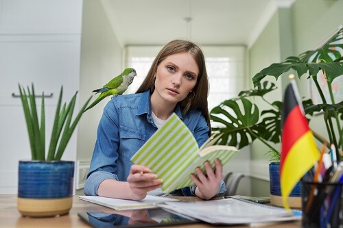 welche sprache spricht man in belgien Deutschlernende skrivanek gmbh